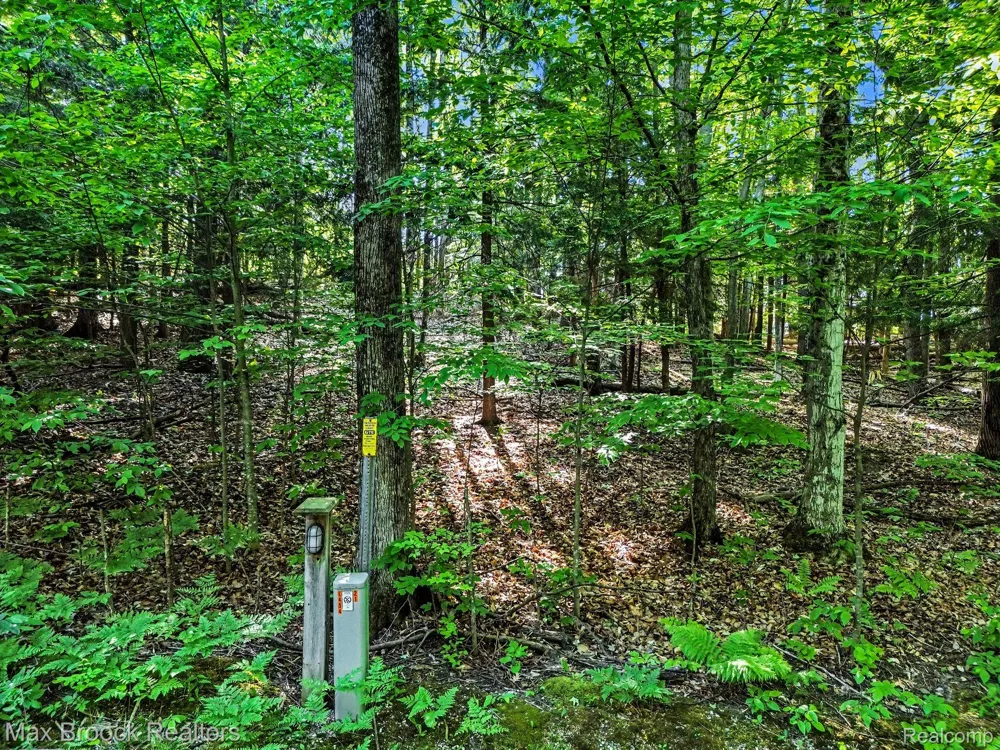 125 Legend Trail Custer Township, MI 49615