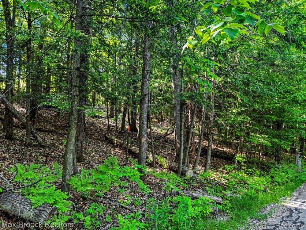 125 Legend Trail Custer Township, MI 49615