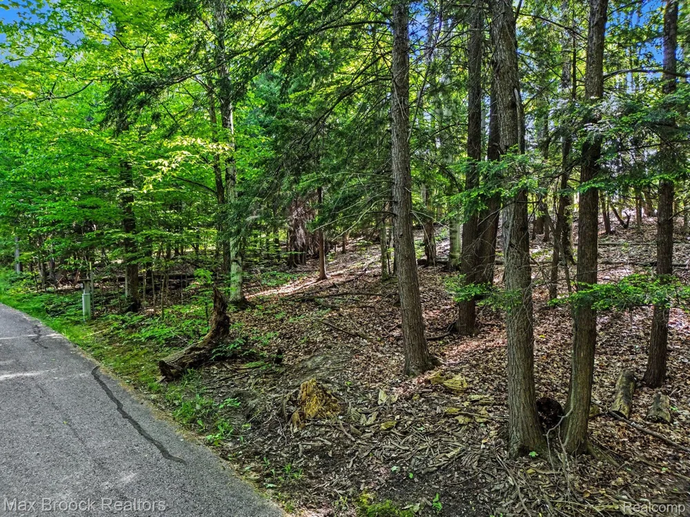 125 Legend Trail Custer Township, MI 49615