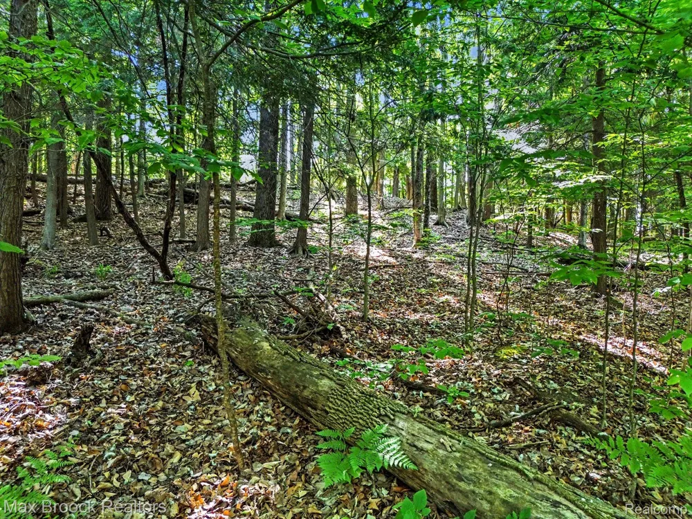 125 Legend Trail Custer Township, MI 49615