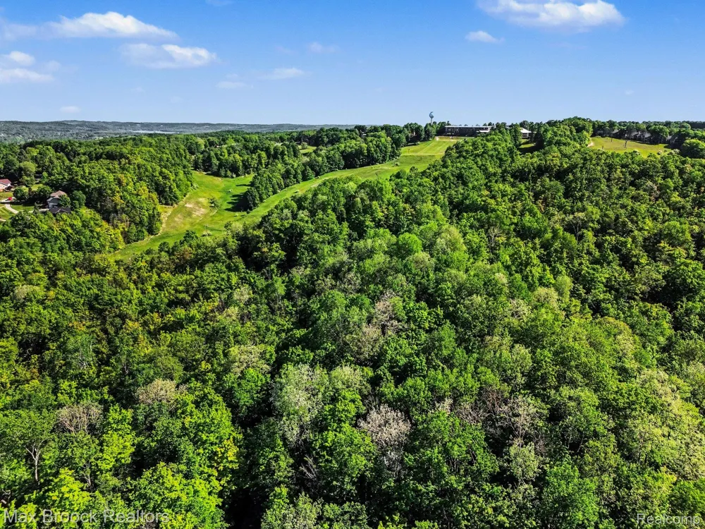 125 Legend Trail Custer Township, MI 49615