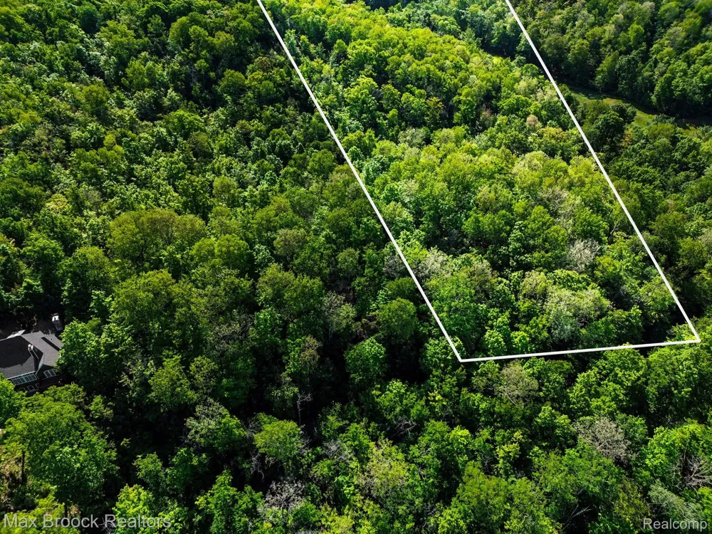 125 Legend Trail Custer Township, MI 49615