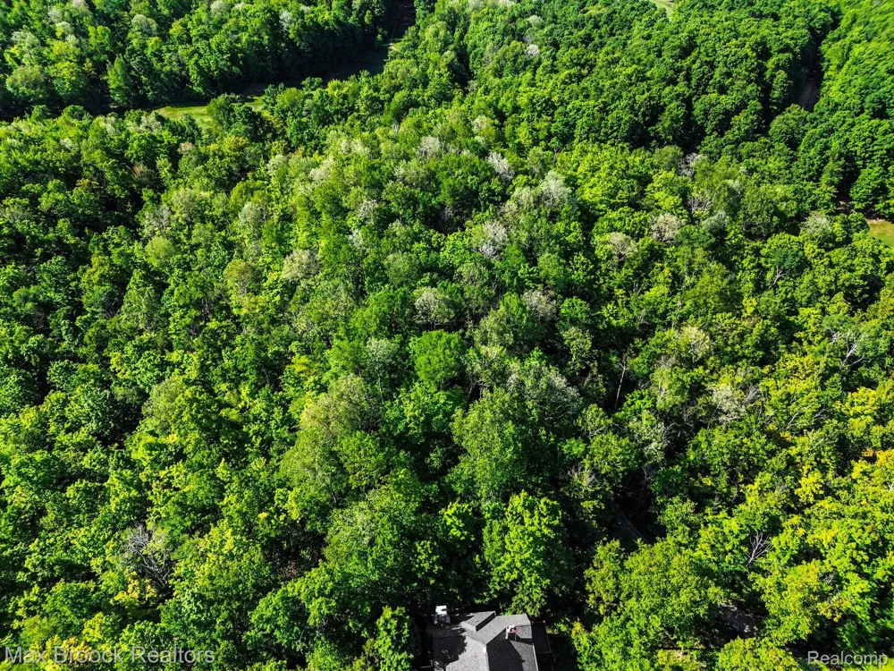 125 Legend Trail Custer Township, MI 49615