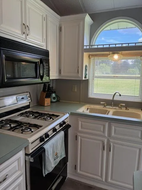 731 Bayside Lane Kinderhook Township, MI 49036