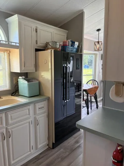 731 Bayside Lane Kinderhook Township, MI 49036