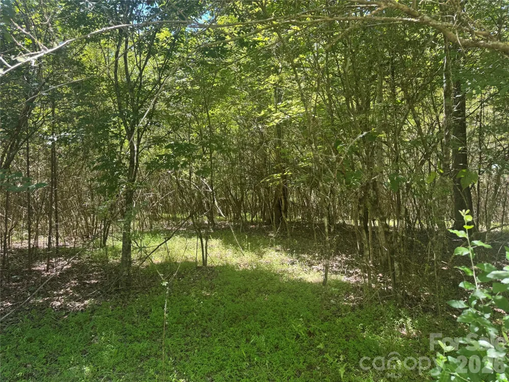 00 Desota Ridge #362 Rutherfordton, NC 28139