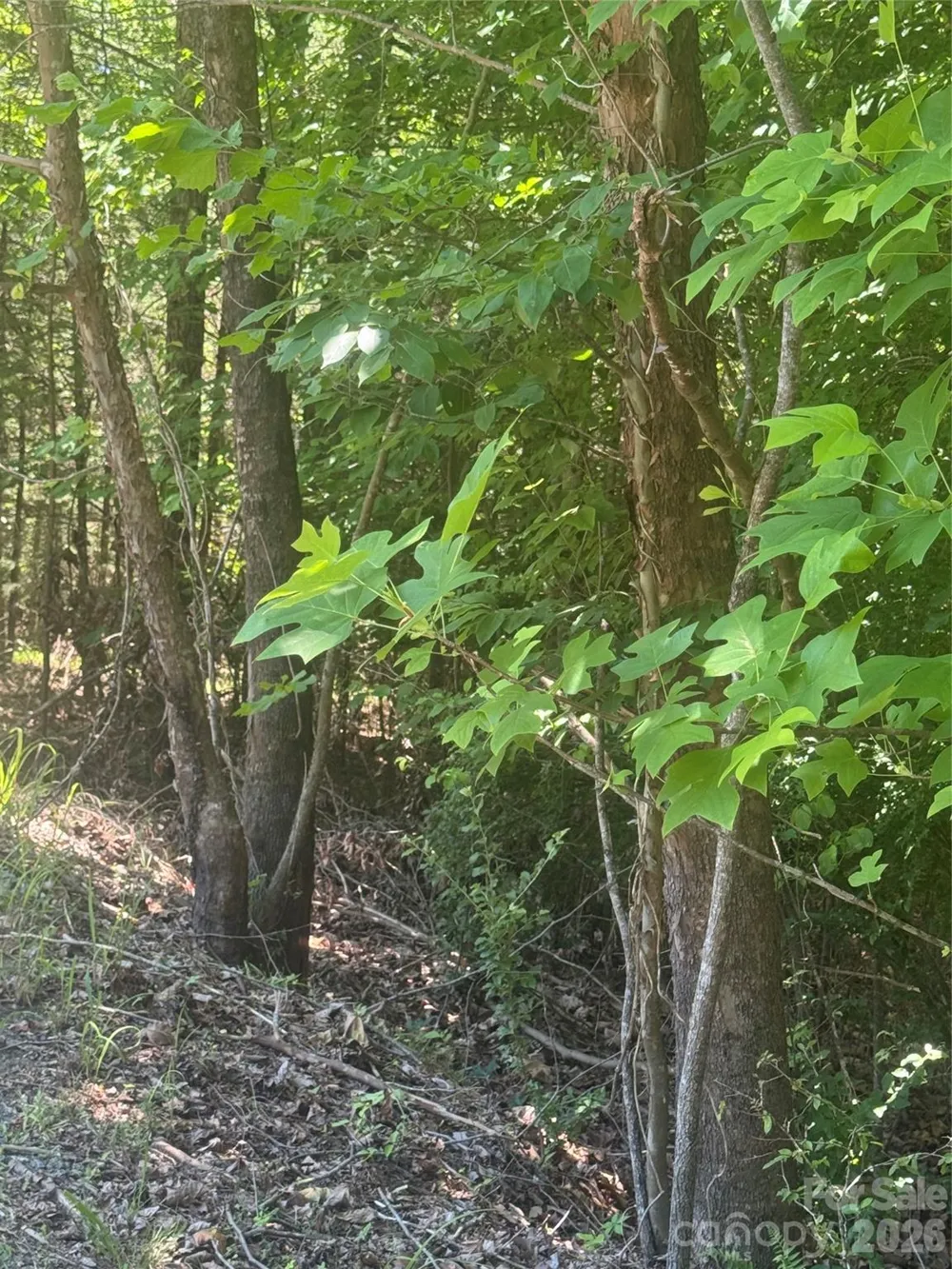 00 Desota Ridge #362 Rutherfordton, NC 28139