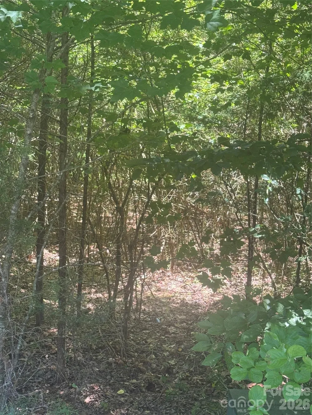 00 Desota Ridge #362 Rutherfordton, NC 28139