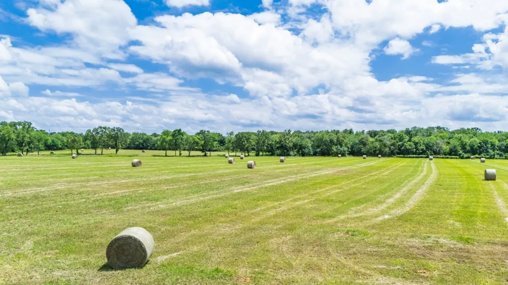 609 County Road 2421 Como, TX 75431