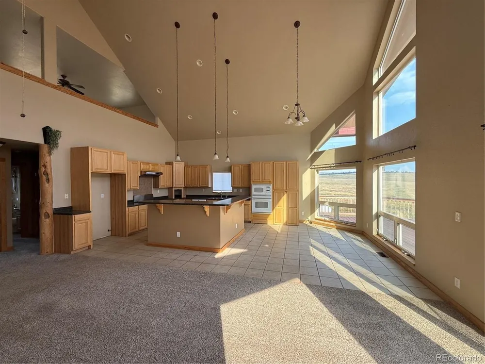 22500 Cow Circle Ramah, CO 80832