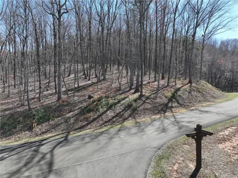 180 Trailwood Drive