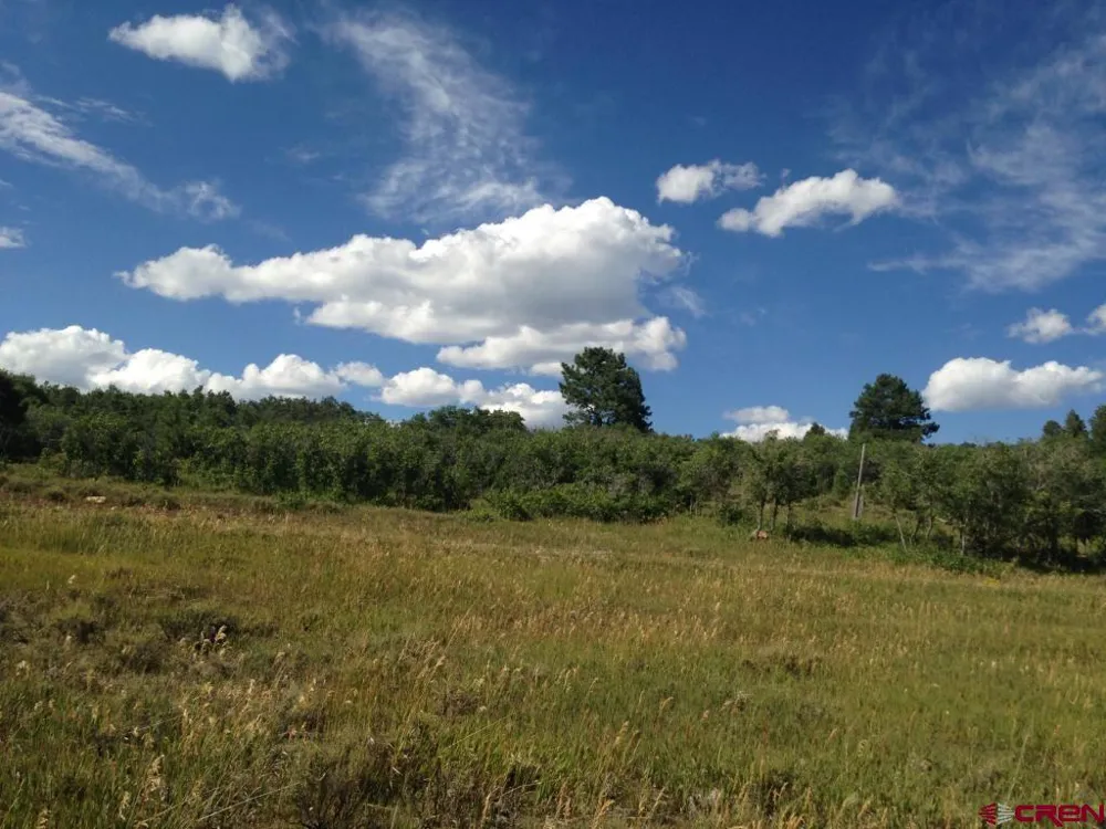 19 Gurley Lake Drive Norwood, CO 81423