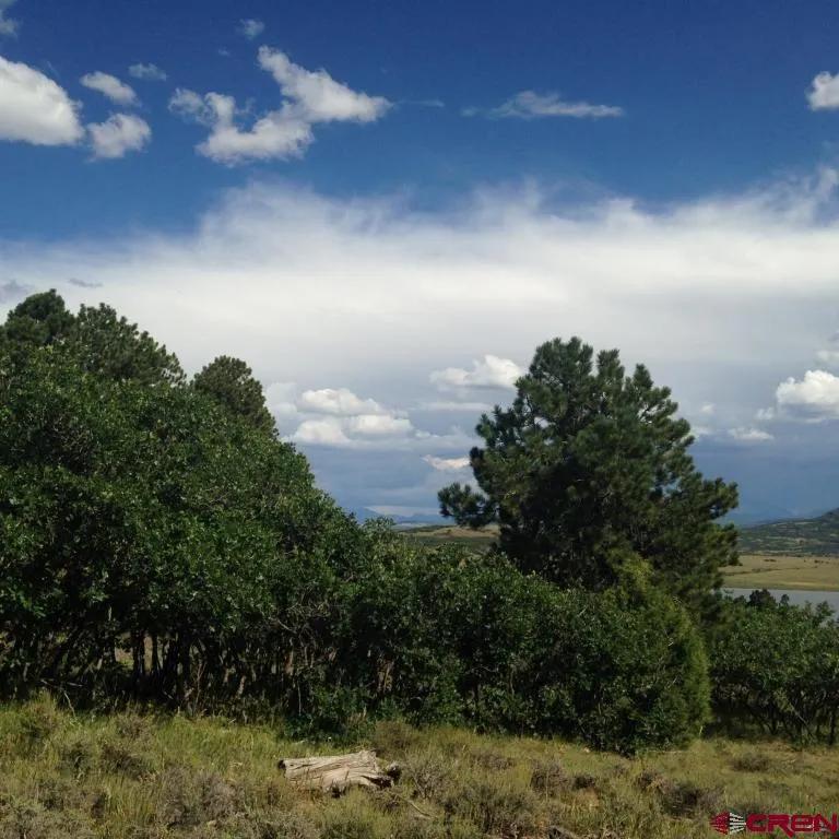 19 Gurley Lake Drive Norwood, CO 81423
