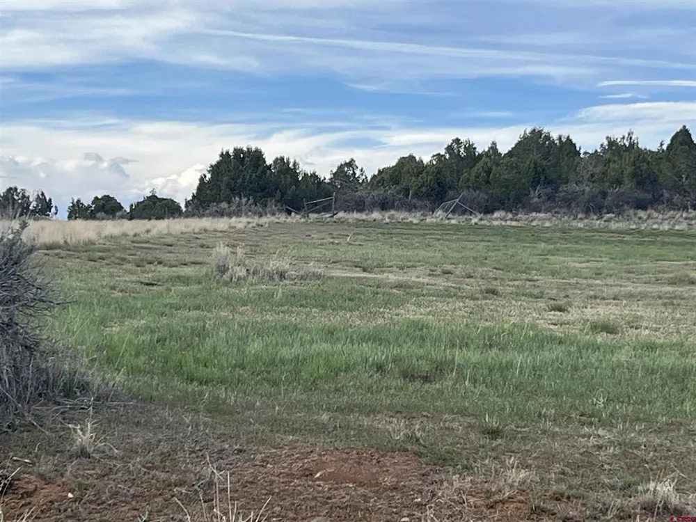 14275 Road 15 Cahone, CO 81320