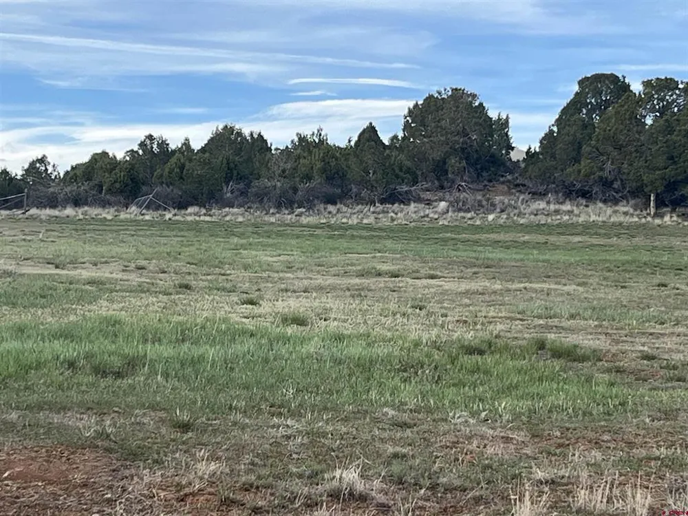 14275 Road 15 Cahone, CO 81320