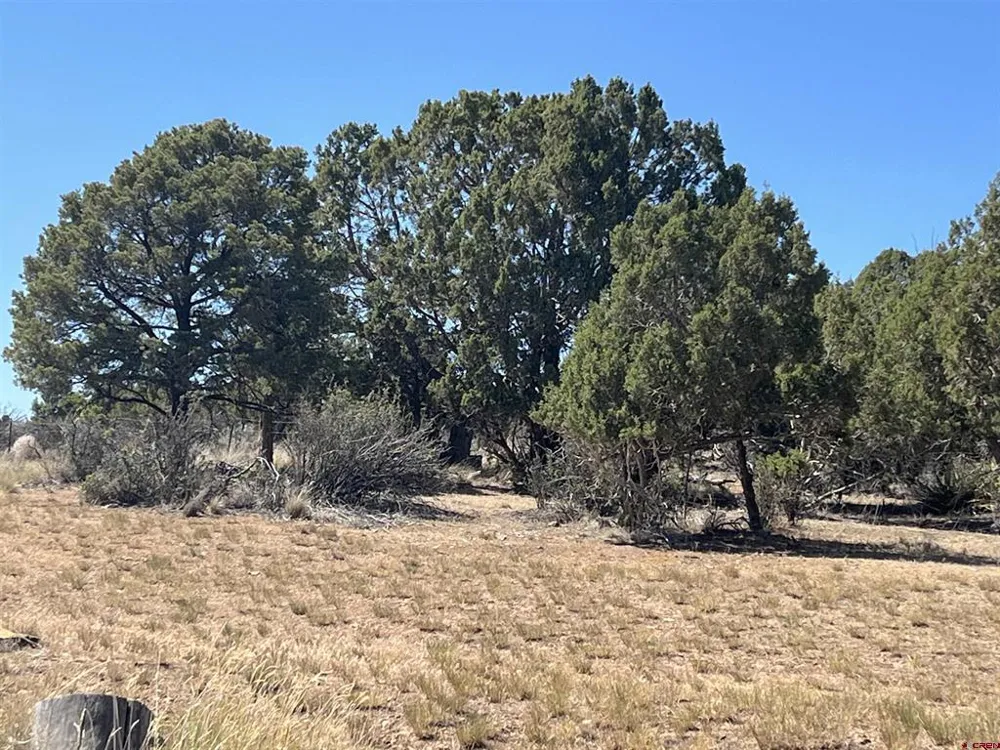 14275 Road 15 Cahone, CO 81320
