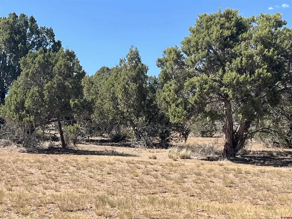 14275 Road 15 Cahone, CO 81320