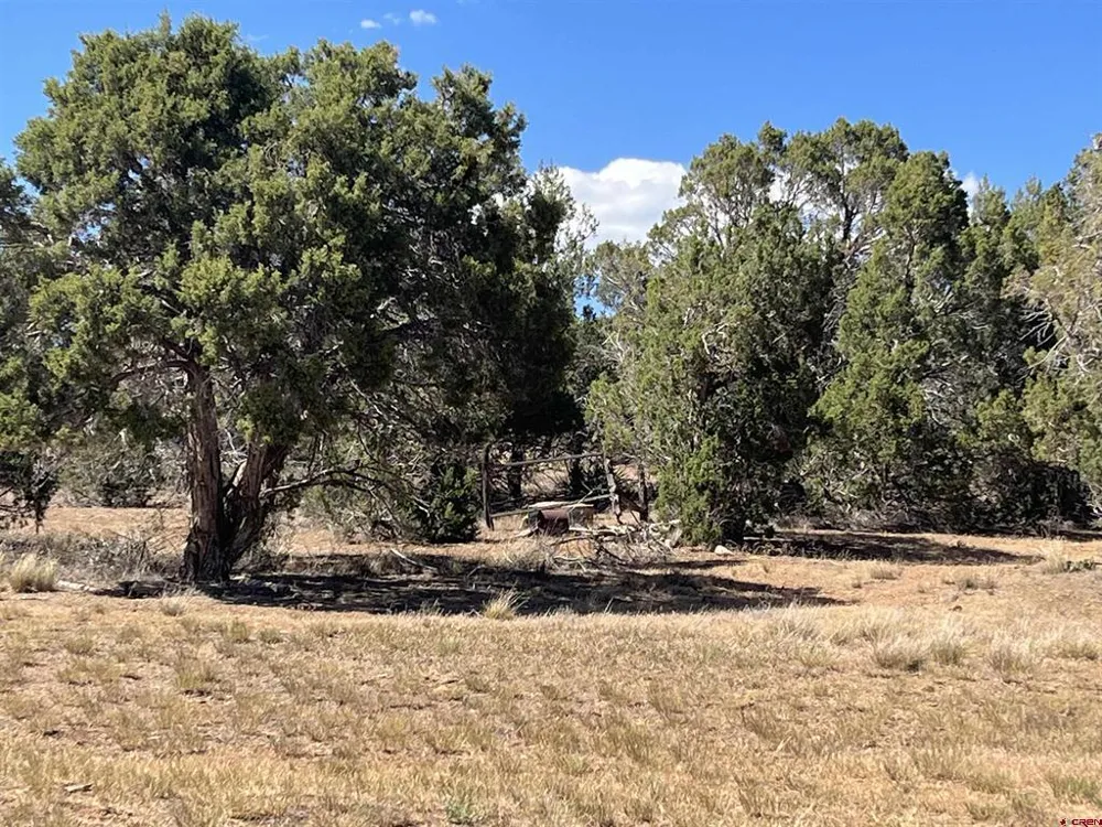 14275 Road 15 Cahone, CO 81320