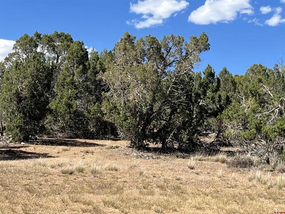 14275 Road 15 Cahone, CO 81320