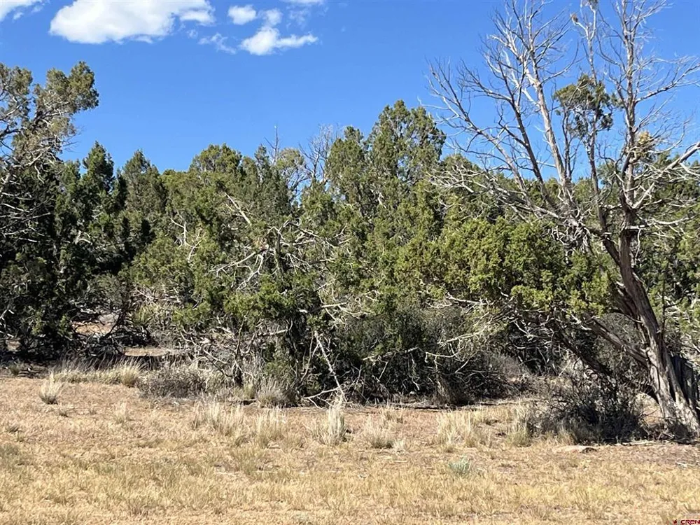 14275 Road 15 Cahone, CO 81320