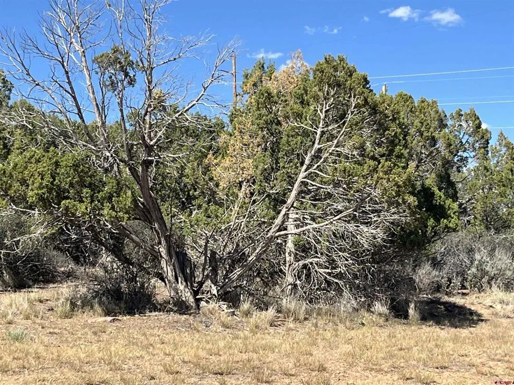 14275 Road 15 Cahone, CO 81320
