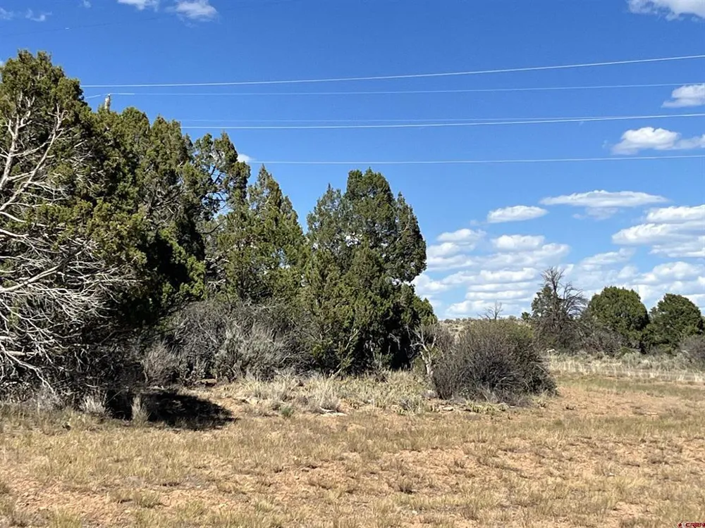 14275 Road 15 Cahone, CO 81320