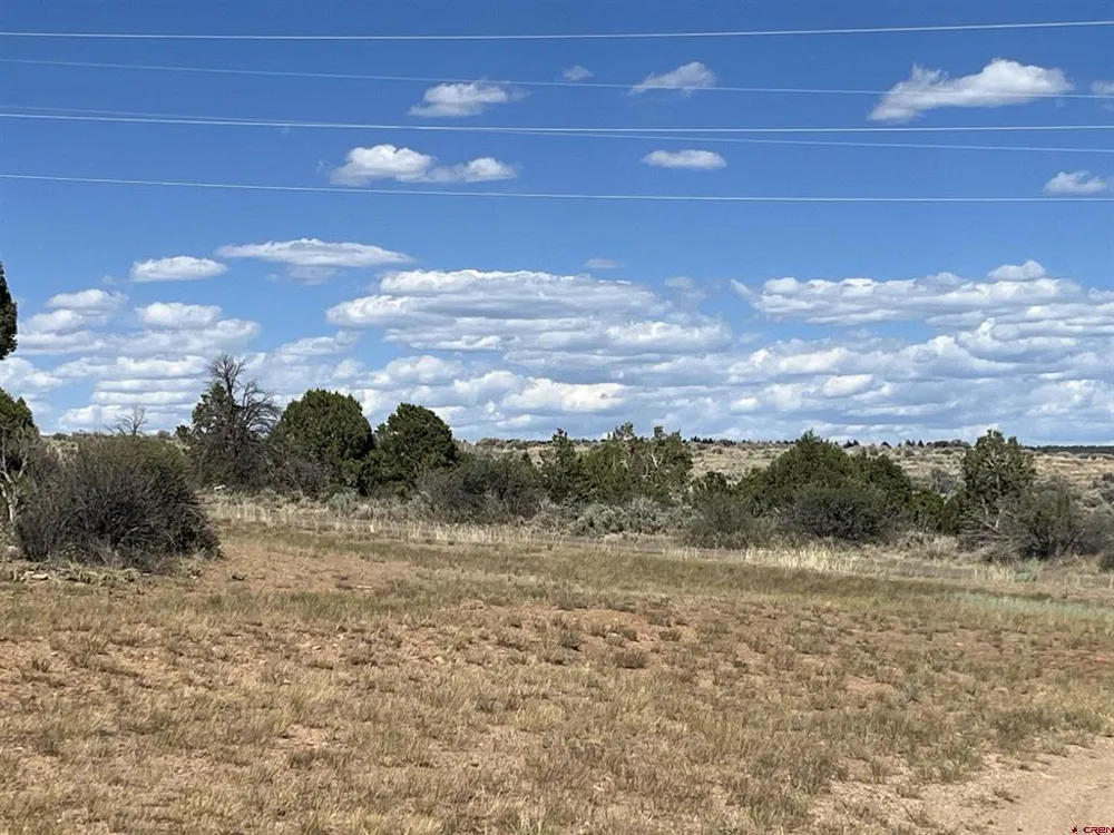 14275 Road 15 Cahone, CO 81320