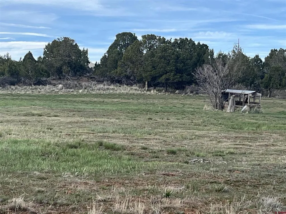 14275 Road 15 Cahone, CO 81320