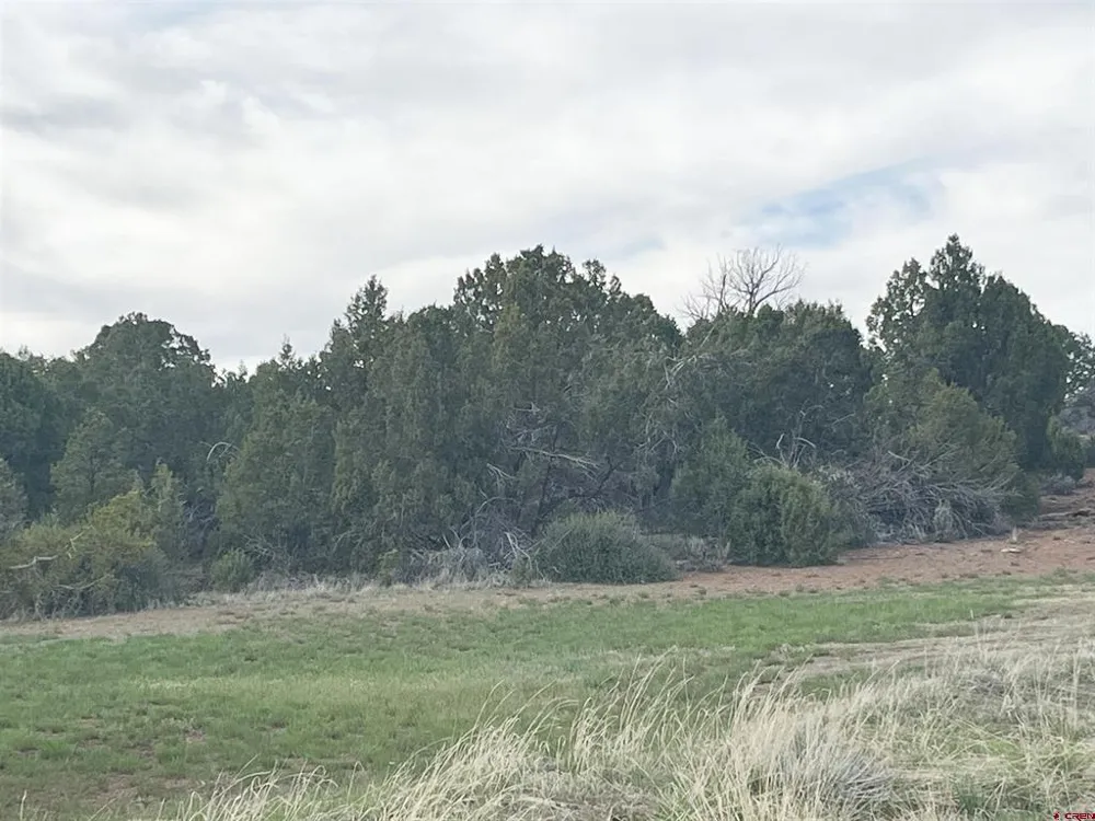 14275 Road 15 Cahone, CO 81320