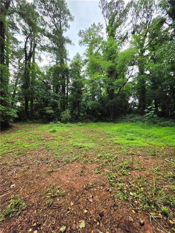 618 Simone Way Stone Mountain, GA 30087