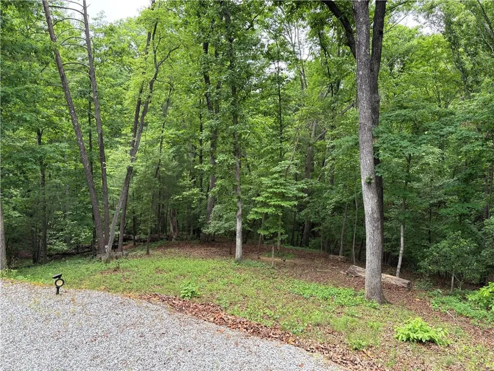 312 Aurum Hill Drive Cleveland, GA 30528