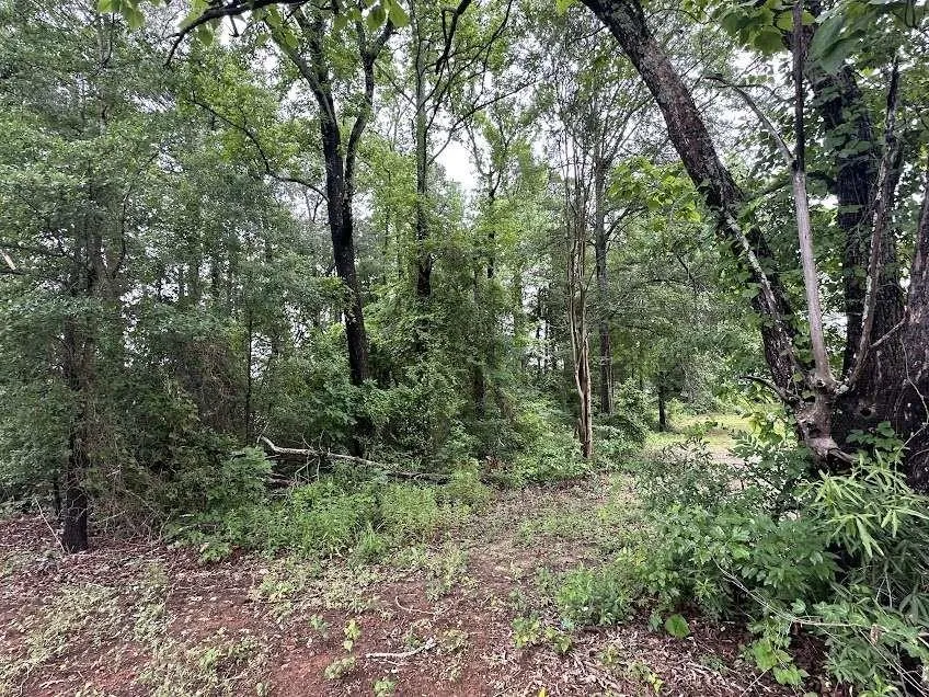 W Meredith Street Marshall, TX 75670