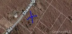 Shawanga Lodge Road