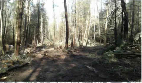 24-12 Parks Rd