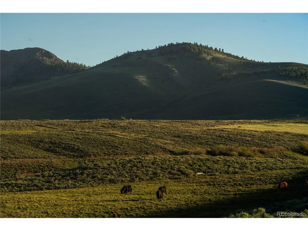 Address Not Shown Walden, CO 80480