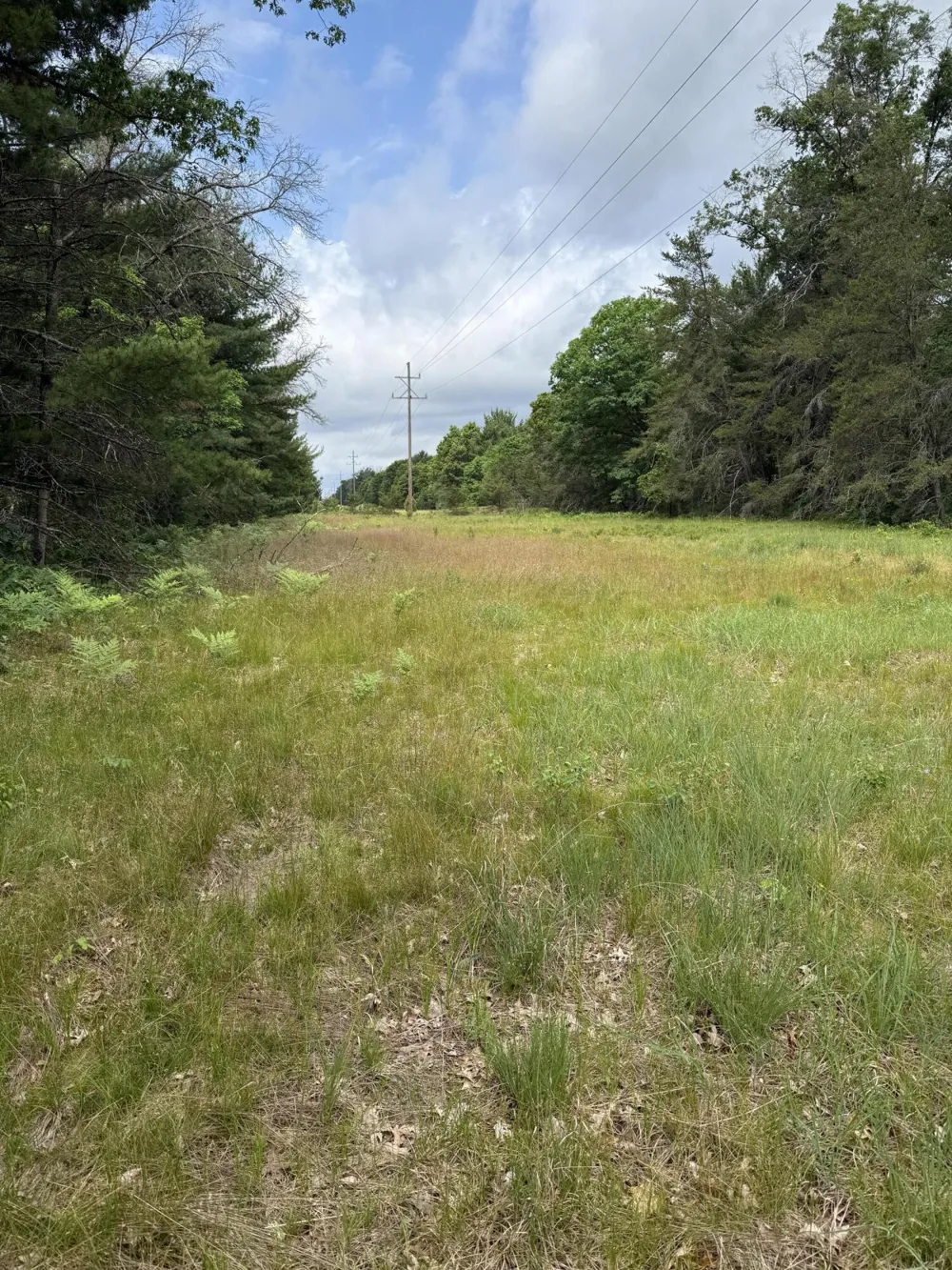 5910 S Shallow Drive Idlewild, MI 49642