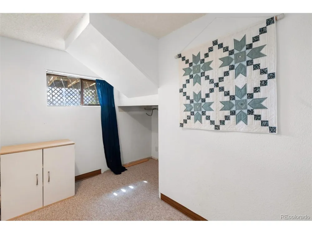 30 Will Stutley Drive Divide, CO 80814