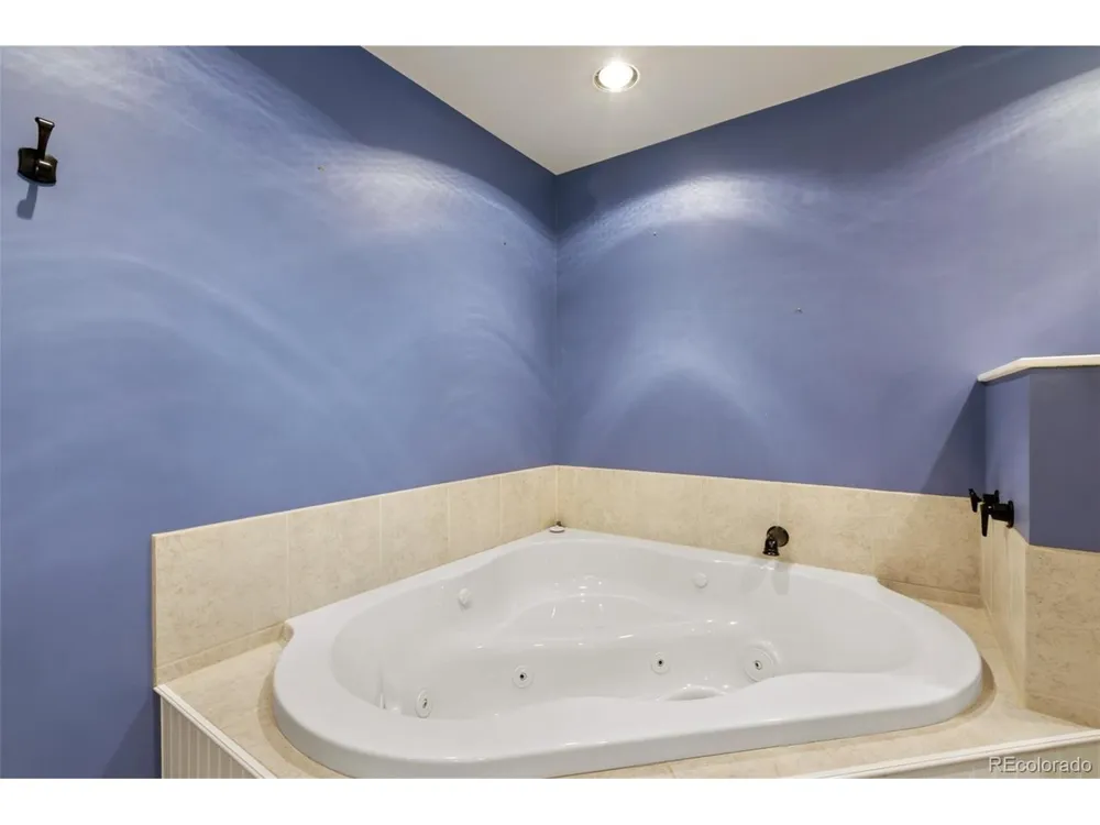30 Will Stutley Drive Divide, CO 80814