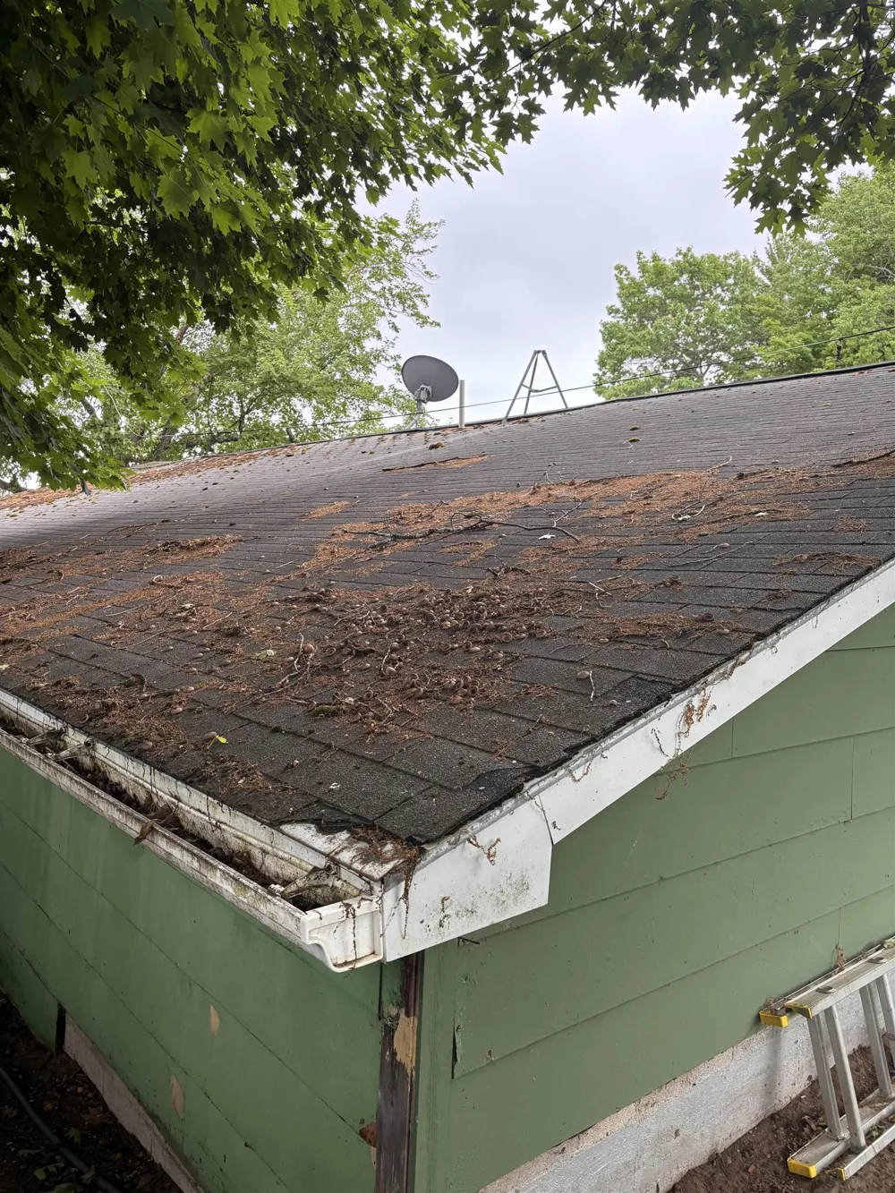 9738 Long Lake Road Long Lake Township, MI 49685