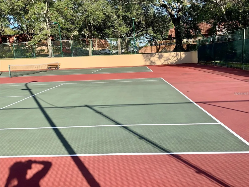 2602 7TH COURT #15 Palm Harbor, FL 34684