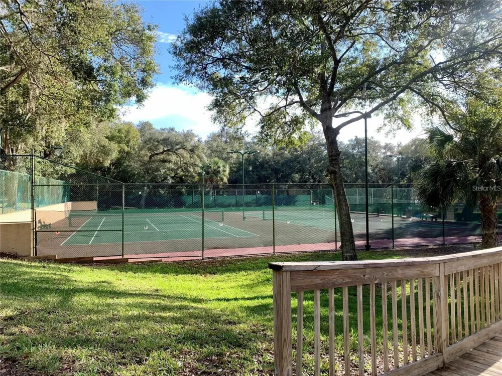 2602 7TH COURT #15 Palm Harbor, FL 34684