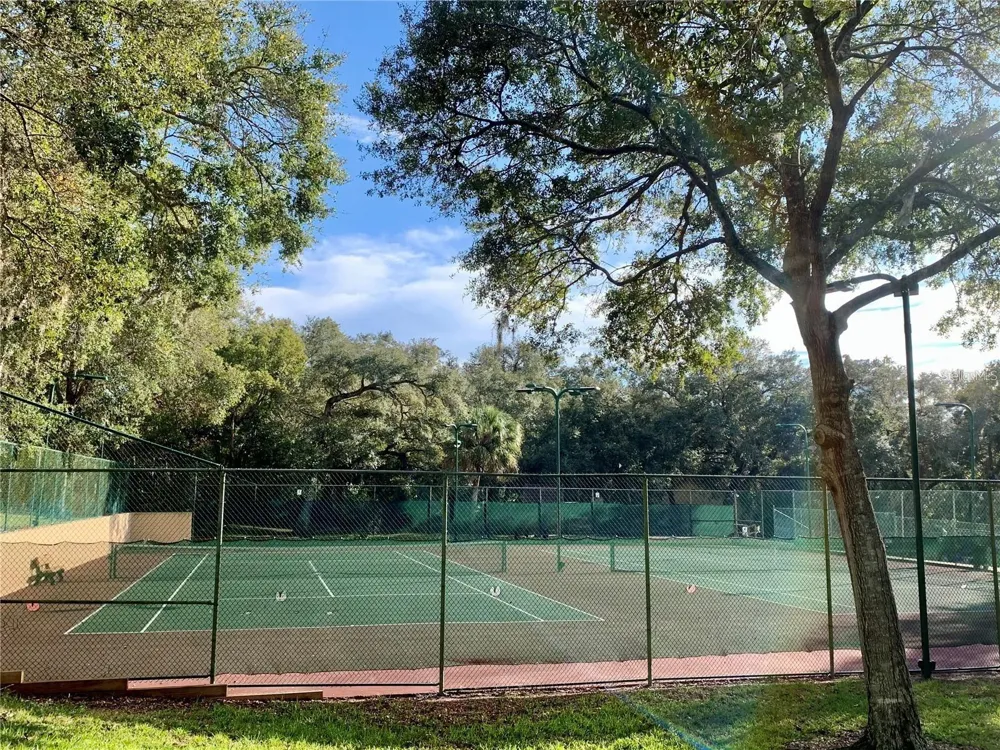 2602 7TH COURT #15 Palm Harbor, FL 34684