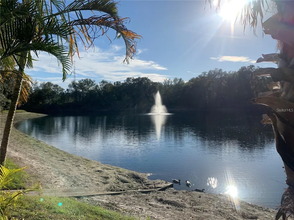 2602 7TH COURT #15 Palm Harbor, FL 34684