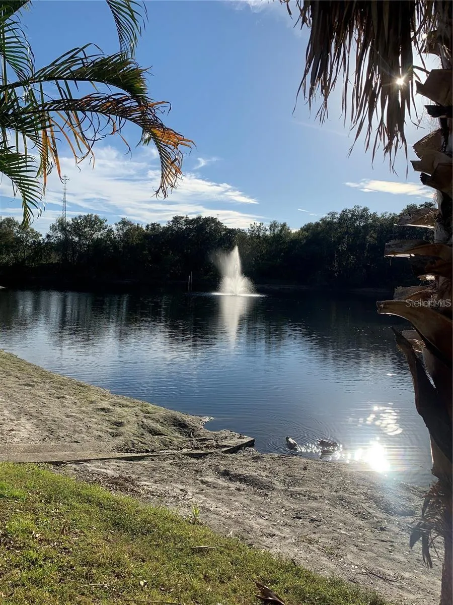 2602 7TH COURT #15 Palm Harbor, FL 34684