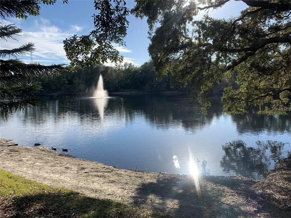 2602 7TH COURT #15 Palm Harbor, FL 34684