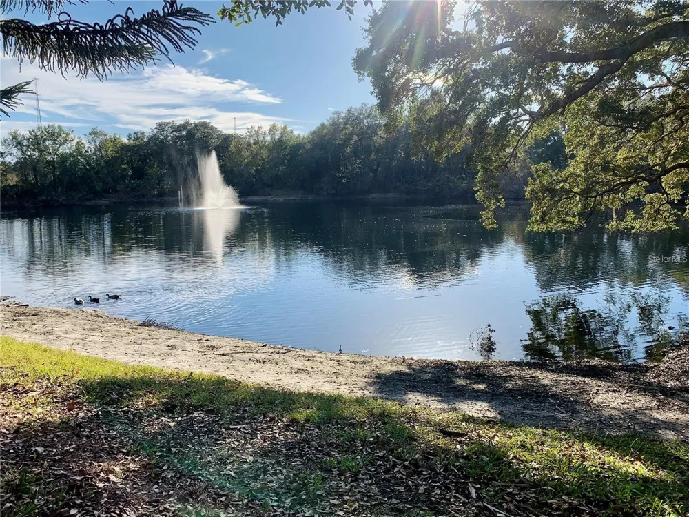 2602 7TH COURT #15 Palm Harbor, FL 34684