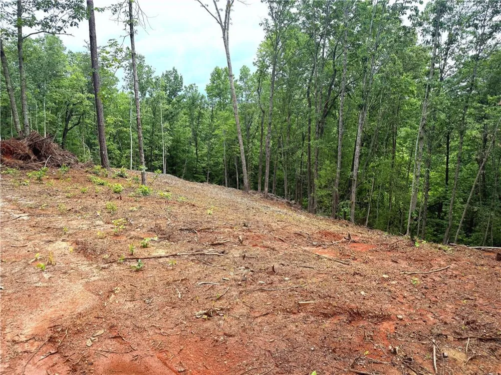 329 River Highlands Road Dahlonega, GA 30533