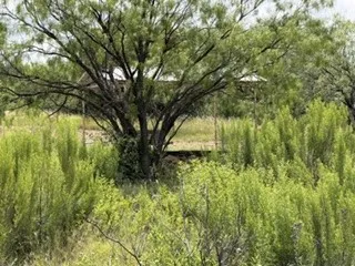 6433 Pvt Rd 2101 Cove Breckenridge, TX 76424