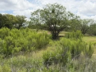 6433 Pvt Rd 2101 Cove Breckenridge, TX 76424