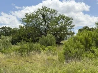 6433 Pvt Rd 2101 Cove Breckenridge, TX 76424